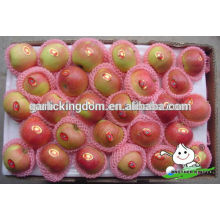 New crop red gala/hot sale red Gala apple/Gala apple